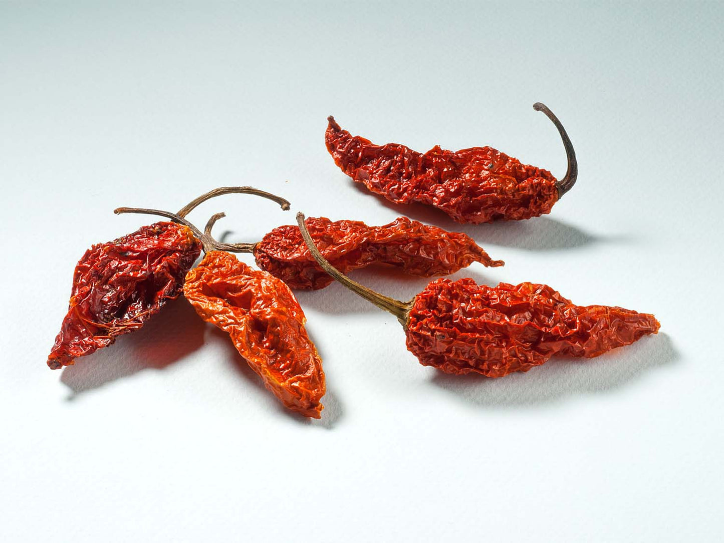 Цяла люта чушка Bhut Jolokia 10гр